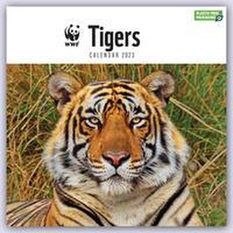 WWF Tigers - Tiger 2023