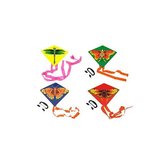 Létající drak 27 x 33 cm - Český obal