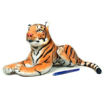 Tygr hnědý střední