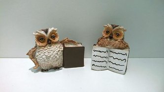 Sova s knihou polyston střední