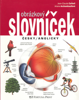 Obrázkový slovníček česky/anglicky