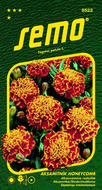 Aksamitník rozkladitý - Honeycomb (Super Hero Orange Flame) 30s