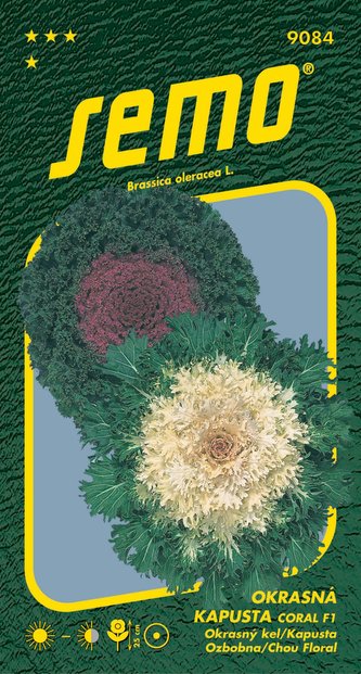Kapusta okrasná - Coral F1 mix 20s