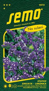 Limonka Statice sinuata - Dark Blue fialová 0,5g