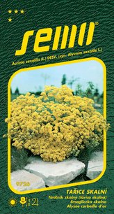 Tařice skalní - žlutá Gold Cloud 0,4g