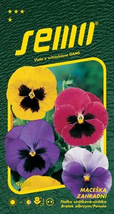 Maceška zahradní - směs s okem švýcarská 0,3g