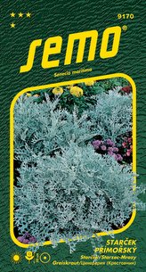 Starček - Silverdust 0,3g