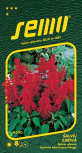 Šalvěj zářivá - Karkulka červená 0,5g