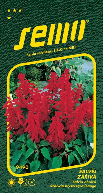 Šalvěj zářivá - Karkulka červená 0,5g