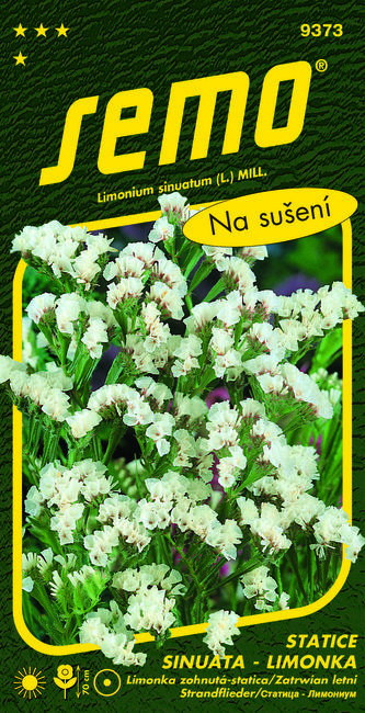 Limonka Statice sinuata - White bílá 0,5g