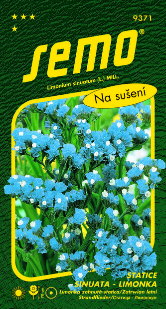 Limonka Statice sinuata - Heavenly Blue modrá 0,5g