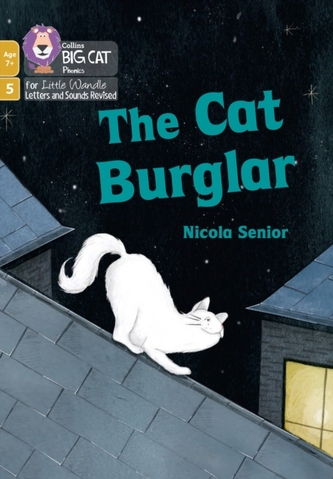 The Cat Burglar The Cat Burglar