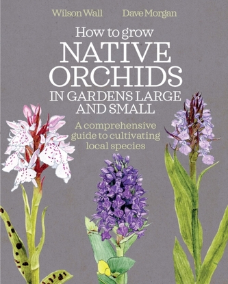 How to Grow Native Orchids in Gardens Large and Small