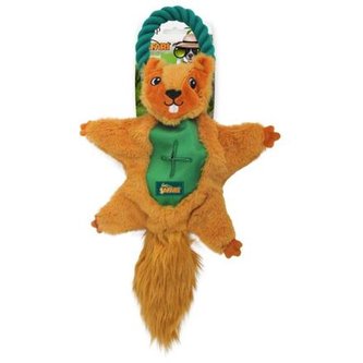 AFP Safari Air Veverka