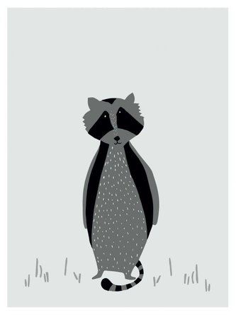 Plakát - Mr. Raccoon 30 x 40 cm