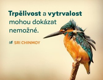 Magnet na lednici Trpělivost a vytrvalost