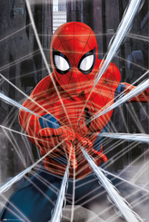 Plakát Marvel|Spiderman: Web (61 x 91,5 cm) 150 g