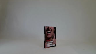 Slovník vulgarismů