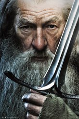 Plakát The Lord Of The Rings|Pán prstenů: Gandalf (61 x 91,5 cm)