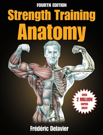 Strength Training Anatomy Strength Training Anatomy