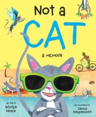 Not a Cat Not a Cat