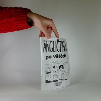 Angličtina po větách