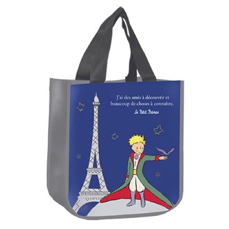 TAŠKA SCPRP13 MALÝ PRINC KIUB TAŠKA SCPRP13 MALÝ PRINC KIUB