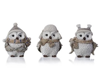 Sova poly v čepici střední