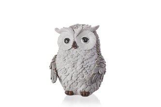 Sova poly šedobílá menší