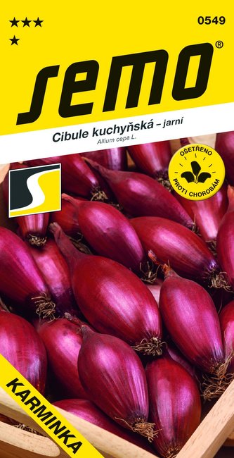 Cibule jarní - Karminka červená oválná  1,5g