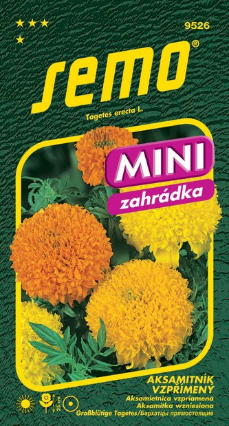 Aksamitník vzpřímený - Cupidon směs 20cm 0,5g - série MINI