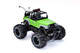 Terénní auto crazy off road