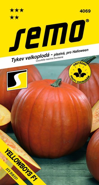Tykev plazivá - Yellowboys F1 (Halloween) 3g