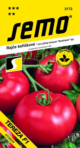 Rajče keř. - Tereza F1 40s