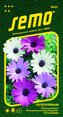 Osteospermum - směs Balade 0,30g