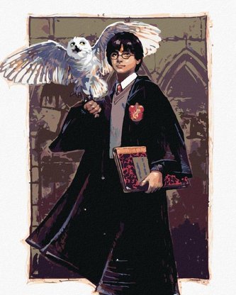 Malování podle čísel 40 x 50 cm Harry Potter - Harry a Hedvika v Bradavicích