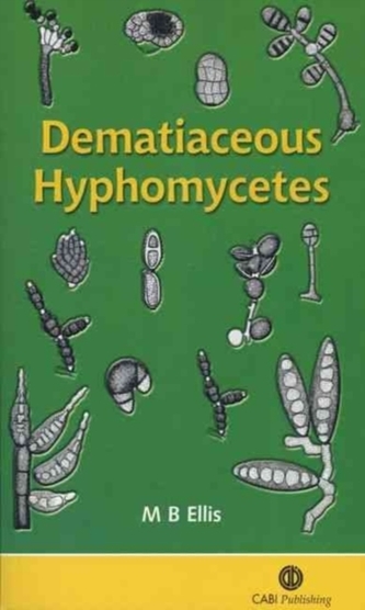 Dematiaceous Hyphomycetes