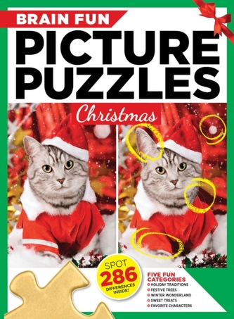 Brain Fun Picture Puzzles: Christmas