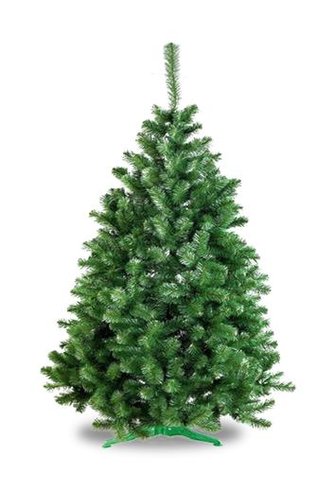 Vánoční stromek Jedle Lena 180 cm