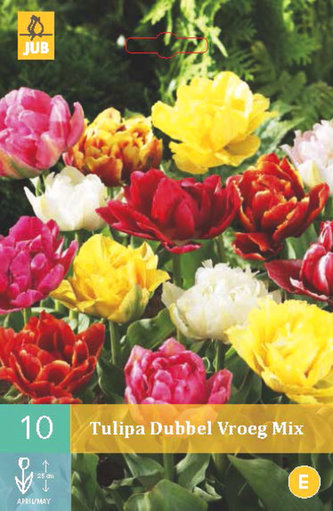 Karta - Tulipán - Double Early mix (10 cibulí) "C"