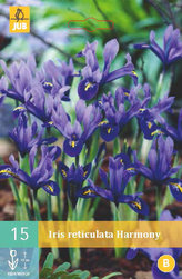 Karta - Kosatec - Iris Harmony (15 cibulí) "B"