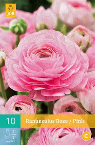 Karta - Pryskyřník - Ranunculus Pink (10 cibulí) "B"