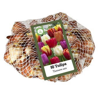 Síťka - XXL - Tulipán Triumph Mix (80 cibulí)