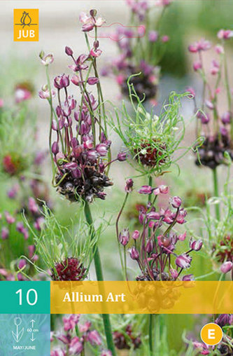 Karta - Česnek - Allium Art (10 cibulí) "B"