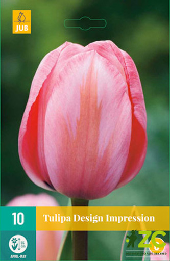 Karta - Tulipán - Design Impression (10 cibulí) "C"
