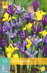 Karta - Kosatec - Iris Dwarf Mix (15 cibulí) "B"