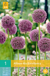 Karta - Česnek - Allium His Excellency (1 cibule) "C"