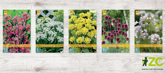 Box - Česnek Allium Small (1000 cibulí)