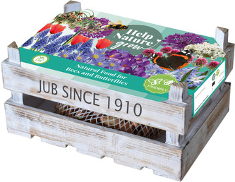 Bedýnka - Mix pro včely a motýly (75 cibulí)