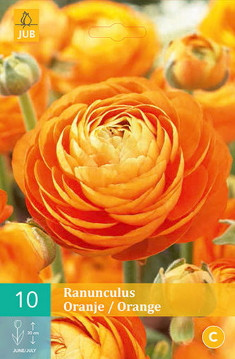 Karta - Pryskyřník - Ranunculus Orange (10 cibulí) "B"
